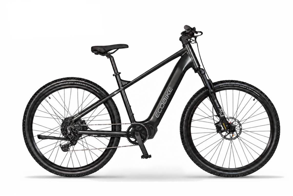 Ecobike SX 100 Svart